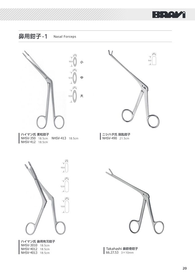 貴重！高品質 ブチハイエナの頭骨 A（鼻甲介有） Amazon.co.jp: ハイエナ動物の頭蓋骨の装飾、耐久性のある現実的な
